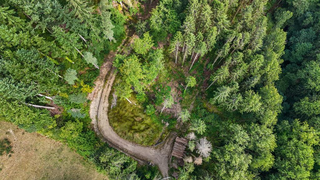 Marley Wood
