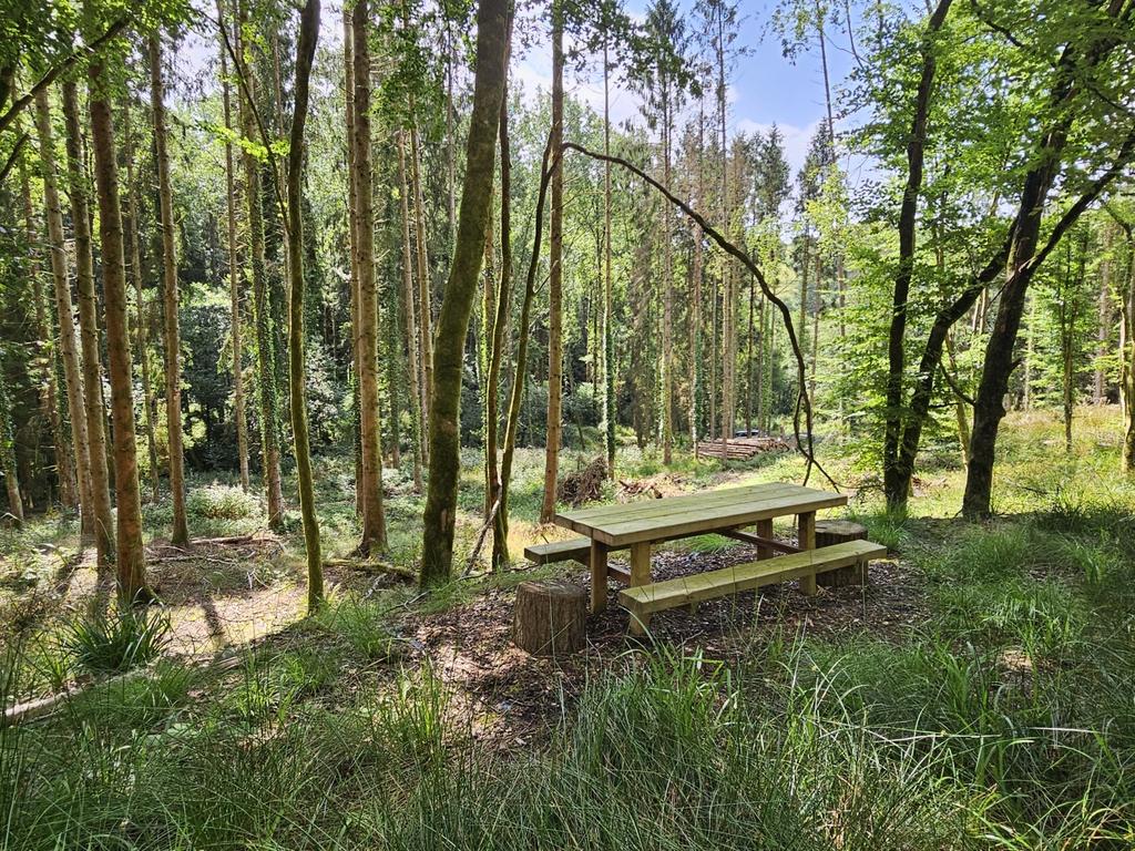 Marley Wood