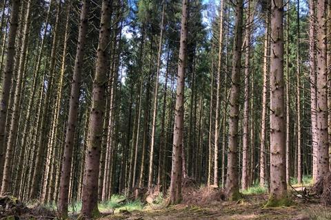 undefined, Stoodleigh, Tiverton, Devon, EX16