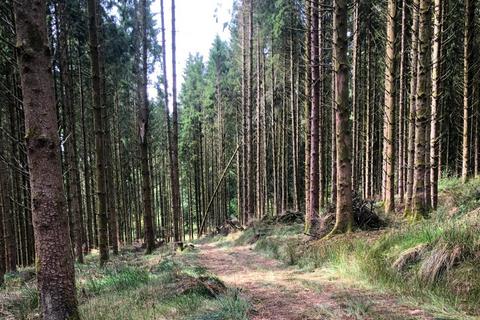 undefined, Stoodleigh, Tiverton, Devon, EX16