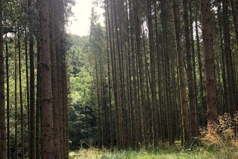 undefined, Stoodleigh, Tiverton, Devon, EX16