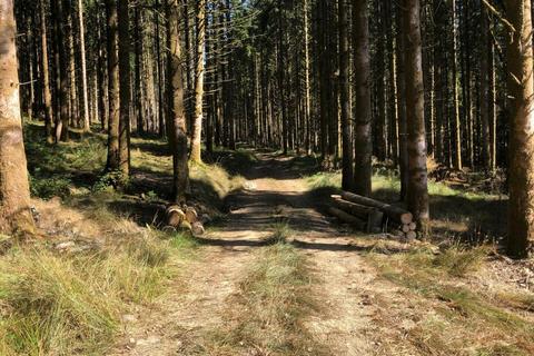 undefined, Stoodleigh, Tiverton, Devon, EX16