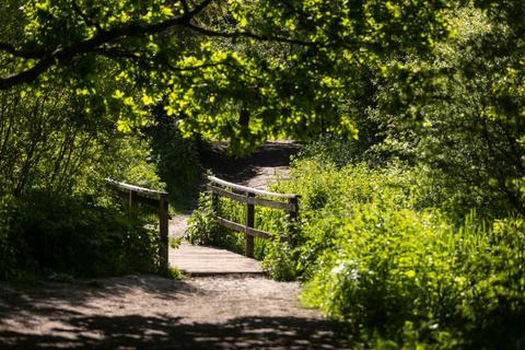 undefined, Beresford Lane, Lewes