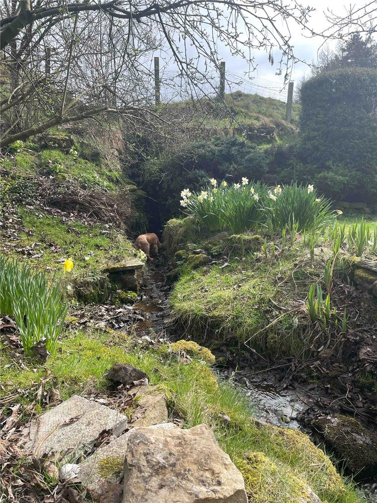 Seasonal Stream