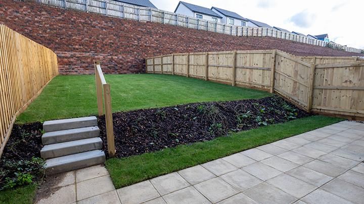 Plot image