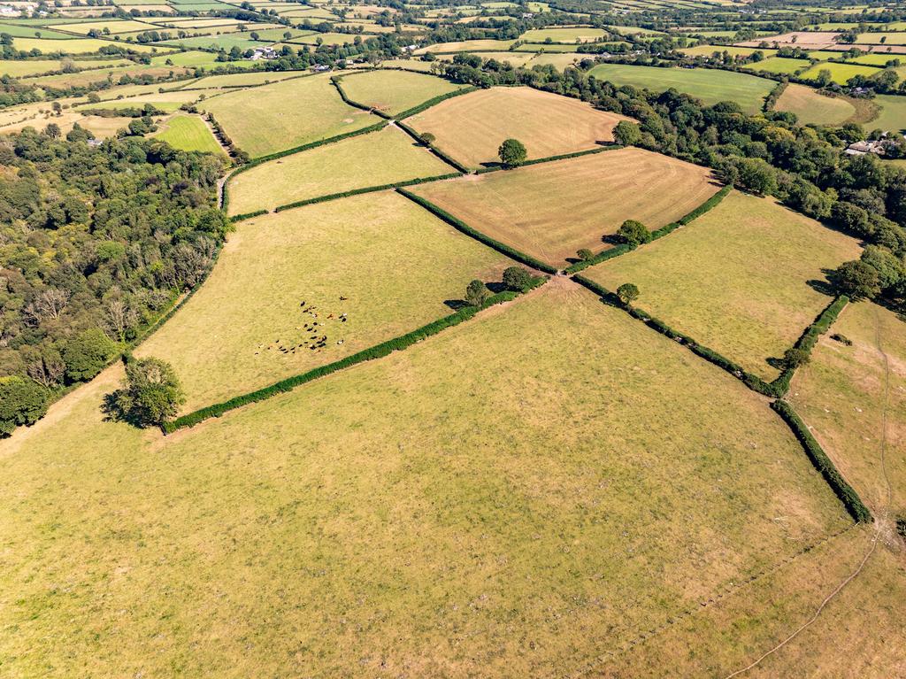 The land