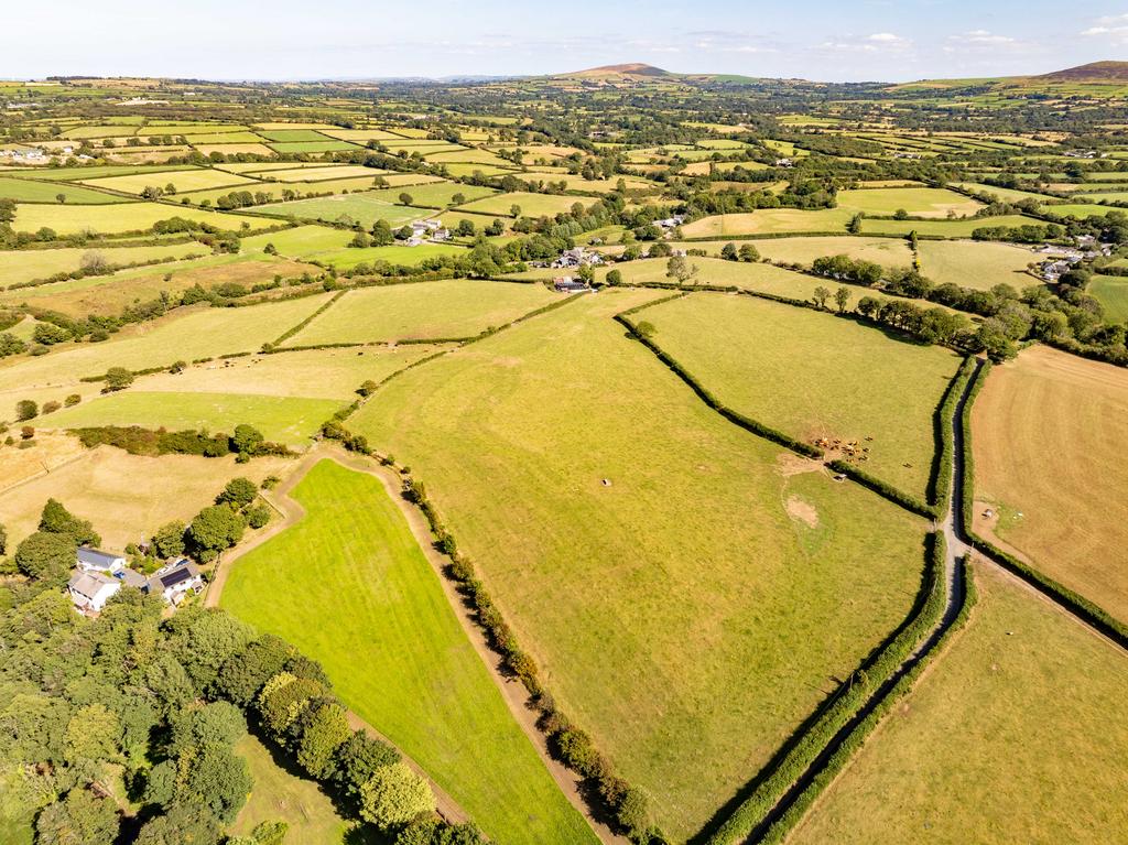 The land