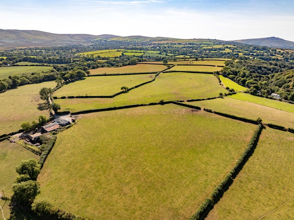 The land