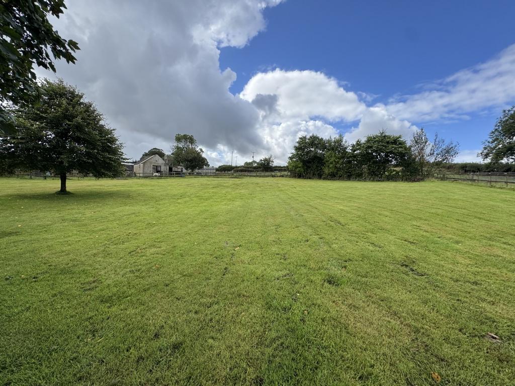 Extended Rear Garden