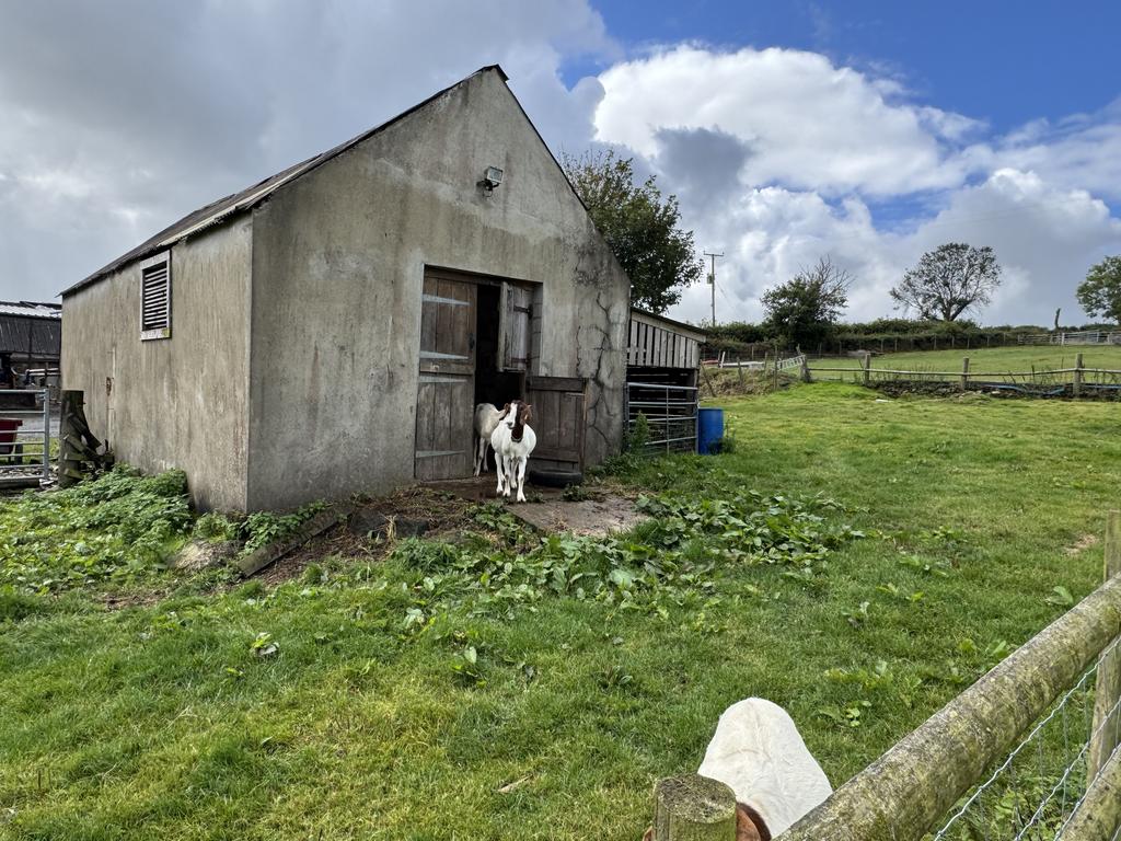 Stable Buildng