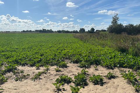 undefined, New Road, Wisbech PE14