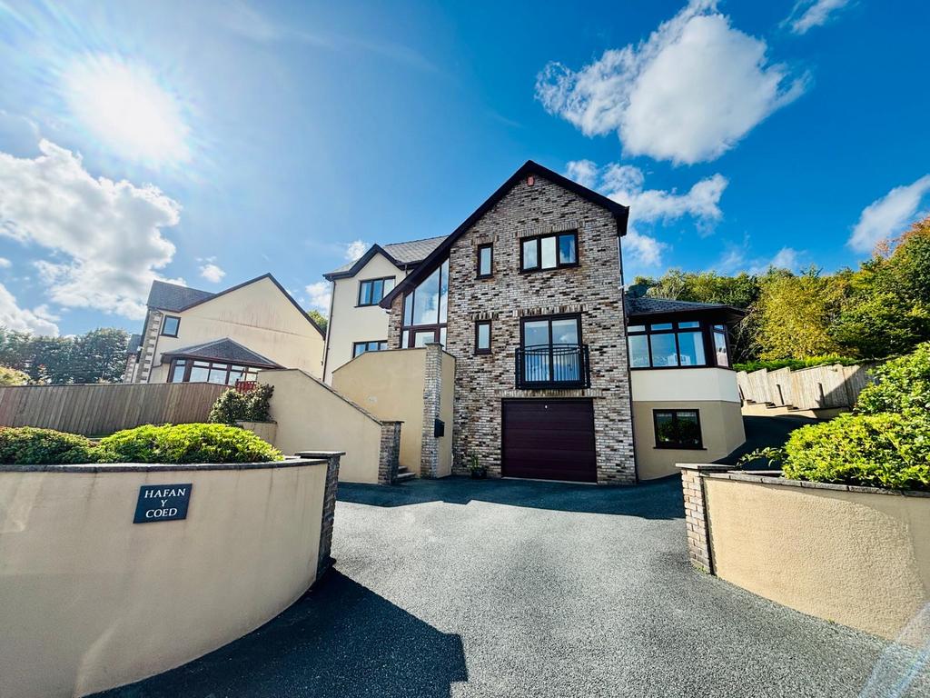 Parking and driveway