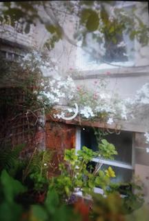 undefined, Renfrew Street, Glasgow, G3
