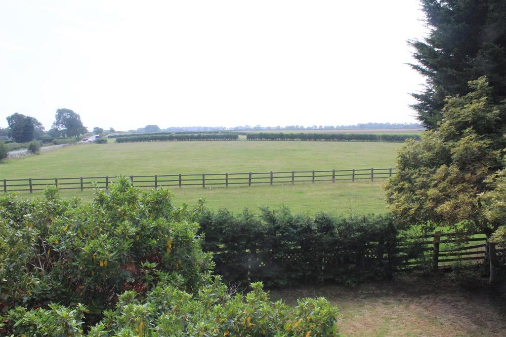 The land