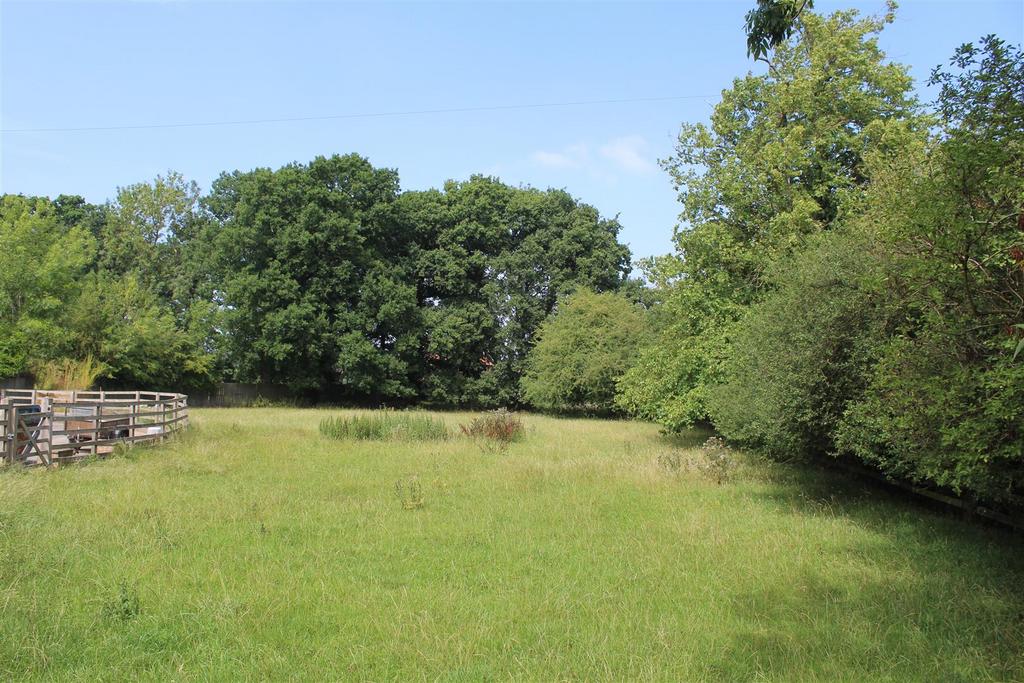 The land