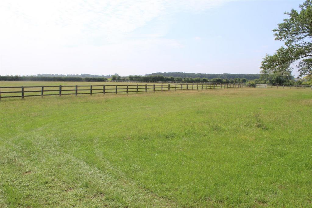 The land