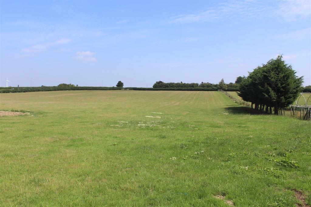 The land