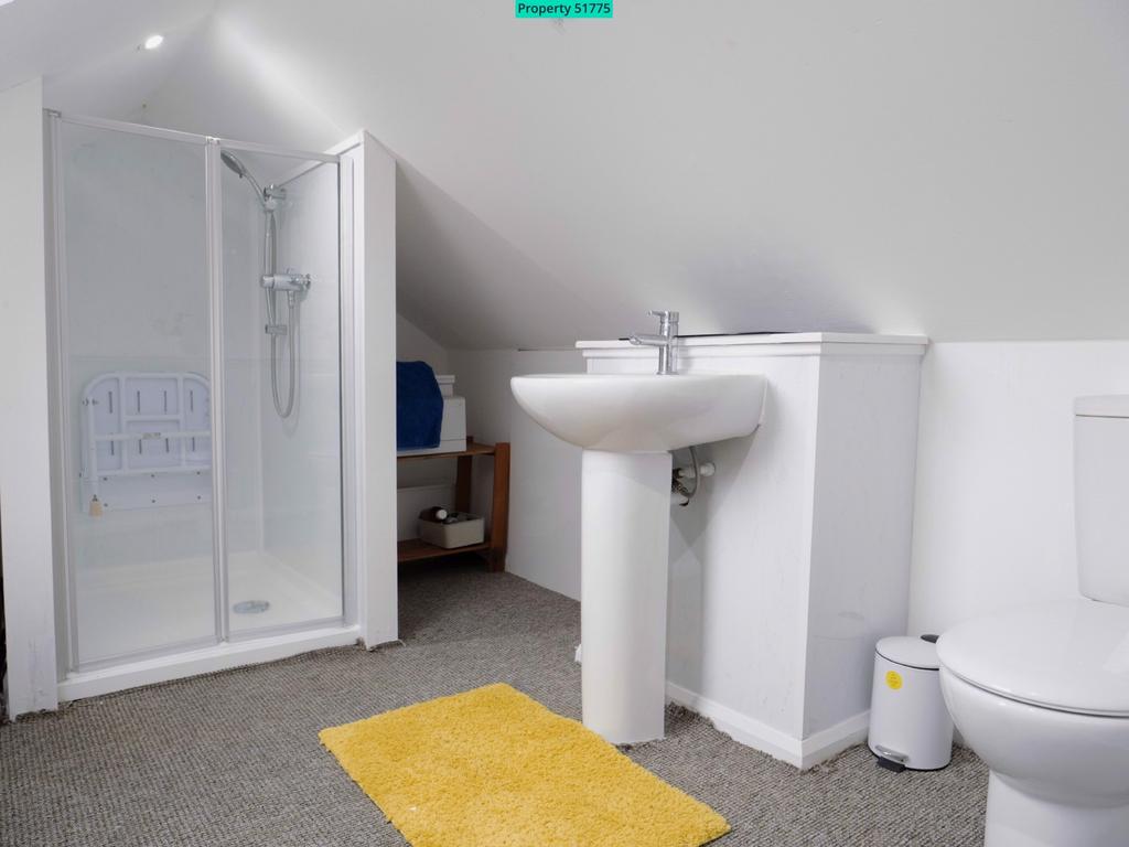 Upstairs Flat attic