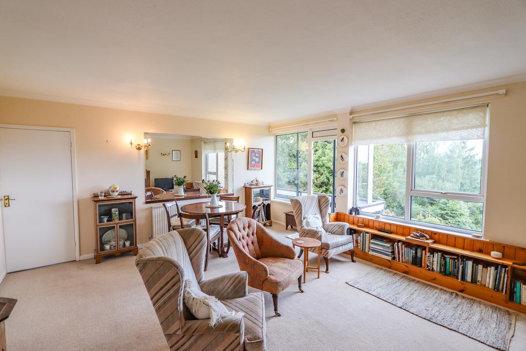 Living/dining room