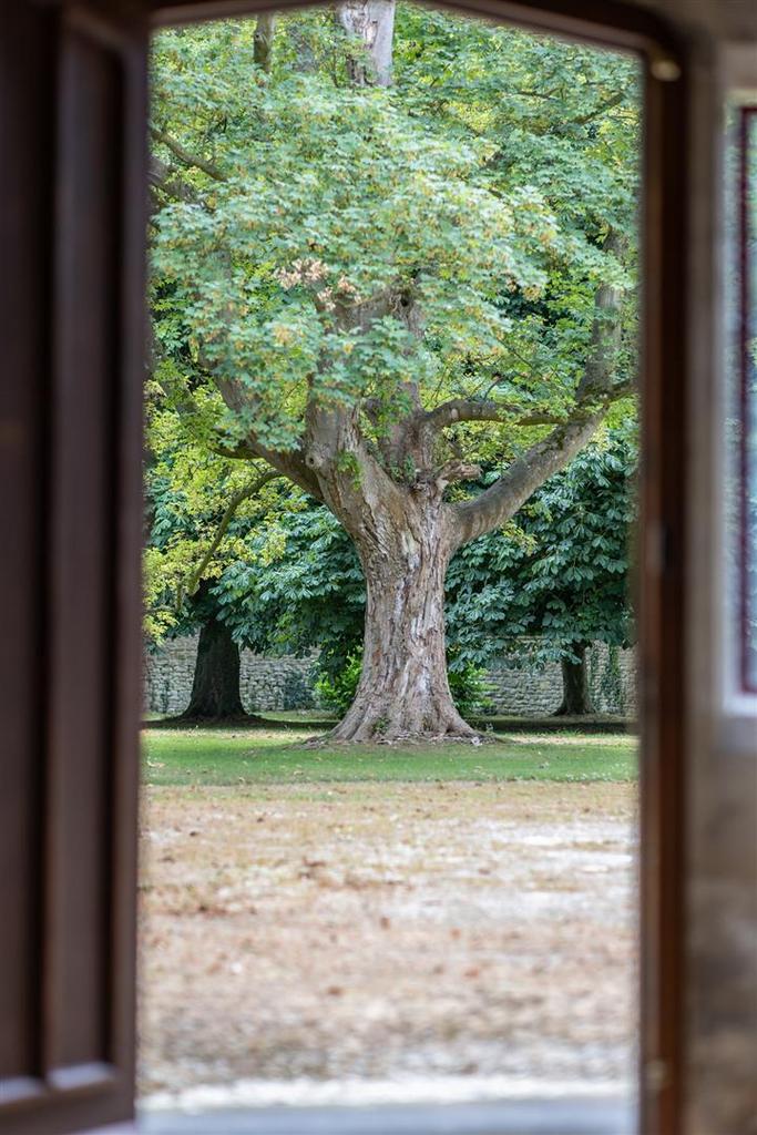 View to Parkland Grounds