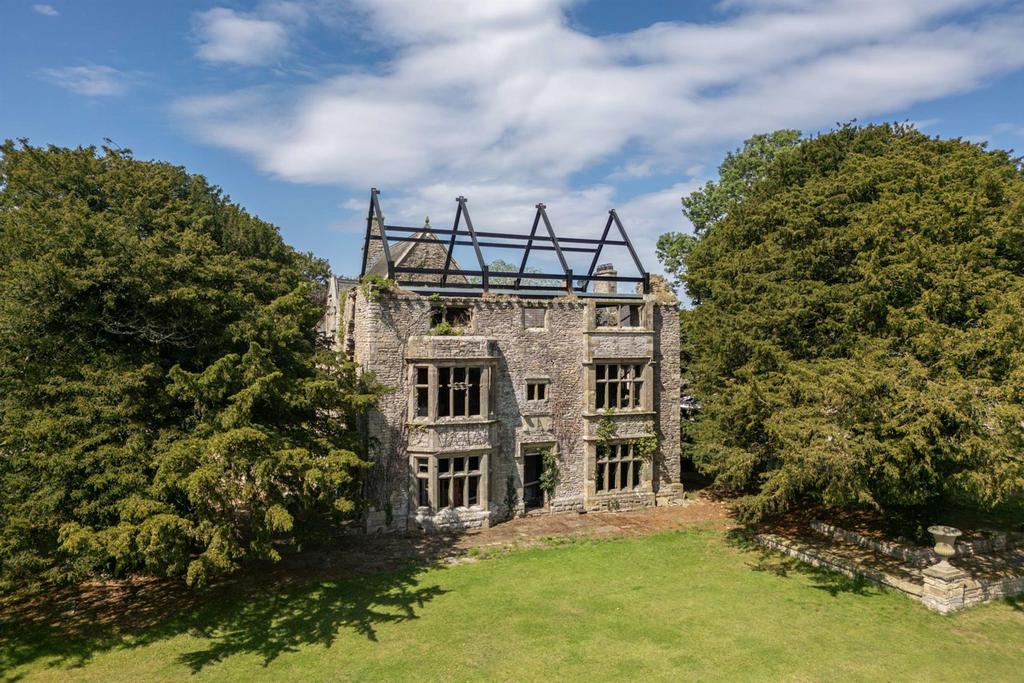 Jacobean Wing