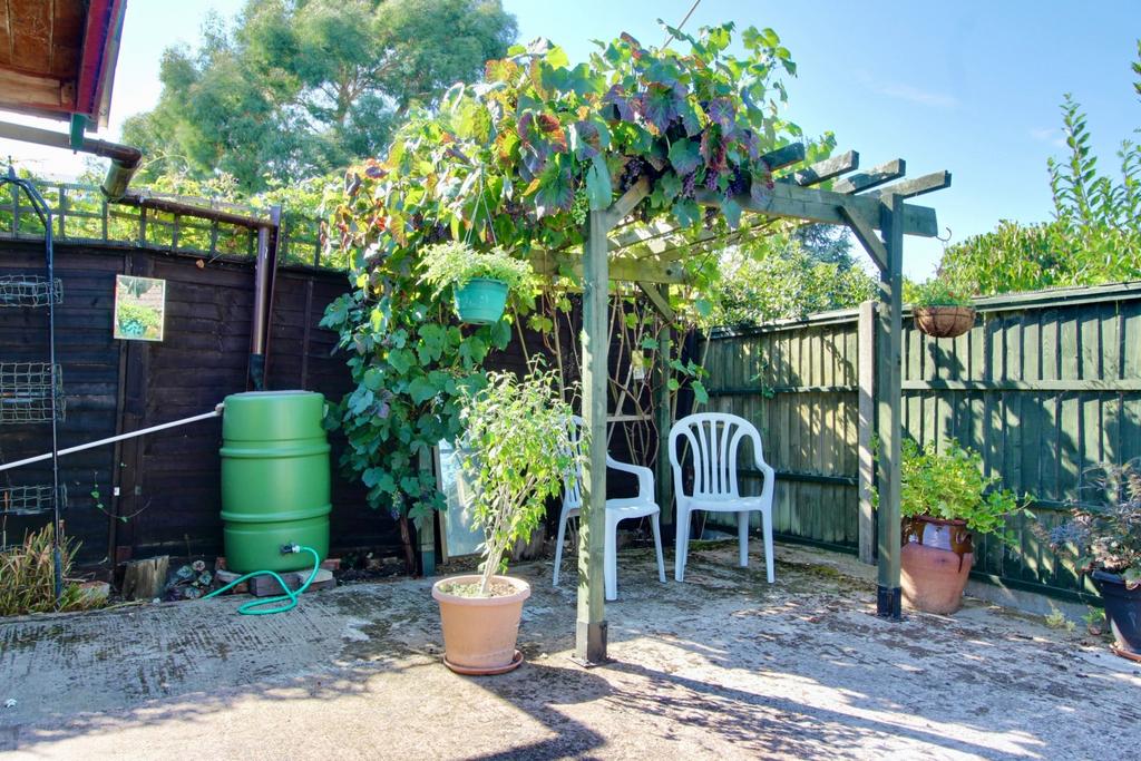 Pergola with Grapes