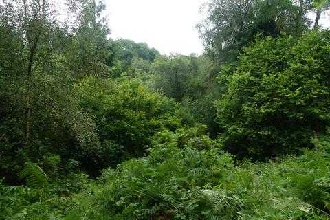 undefined, Coed Felin Fach, near Nantgaredig SA32