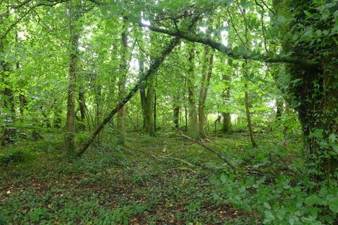 undefined, Coed Felin Fach, near Nantgaredig SA32