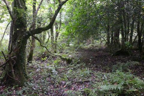 undefined, Coed Felin Fach, near Nantgaredig SA32
