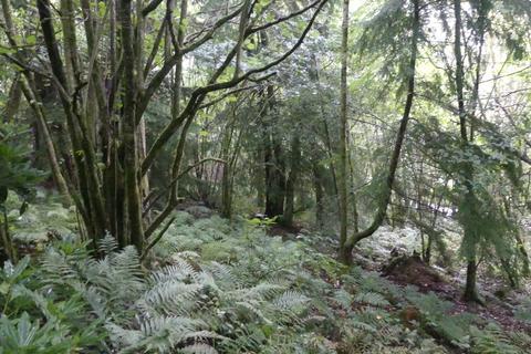 undefined, Coed Felin Fach, near Nantgaredig SA32