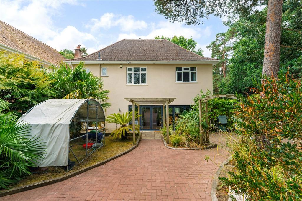 Back Garden
