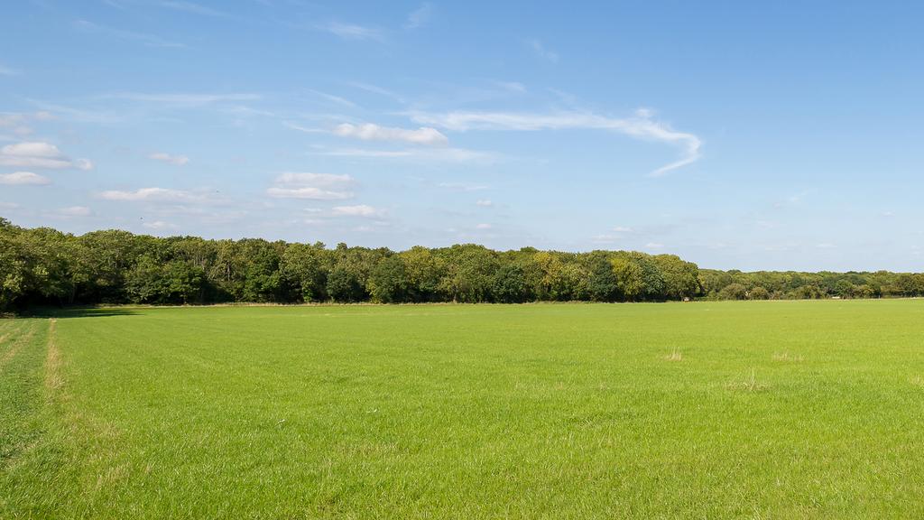 Flat, pasture land for sale.
