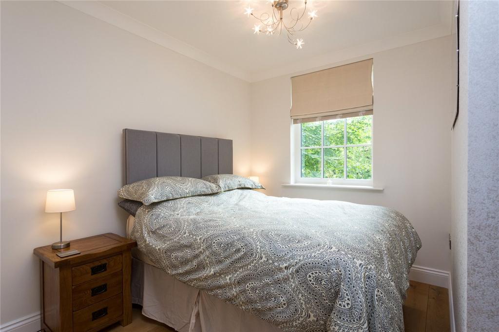 Photos