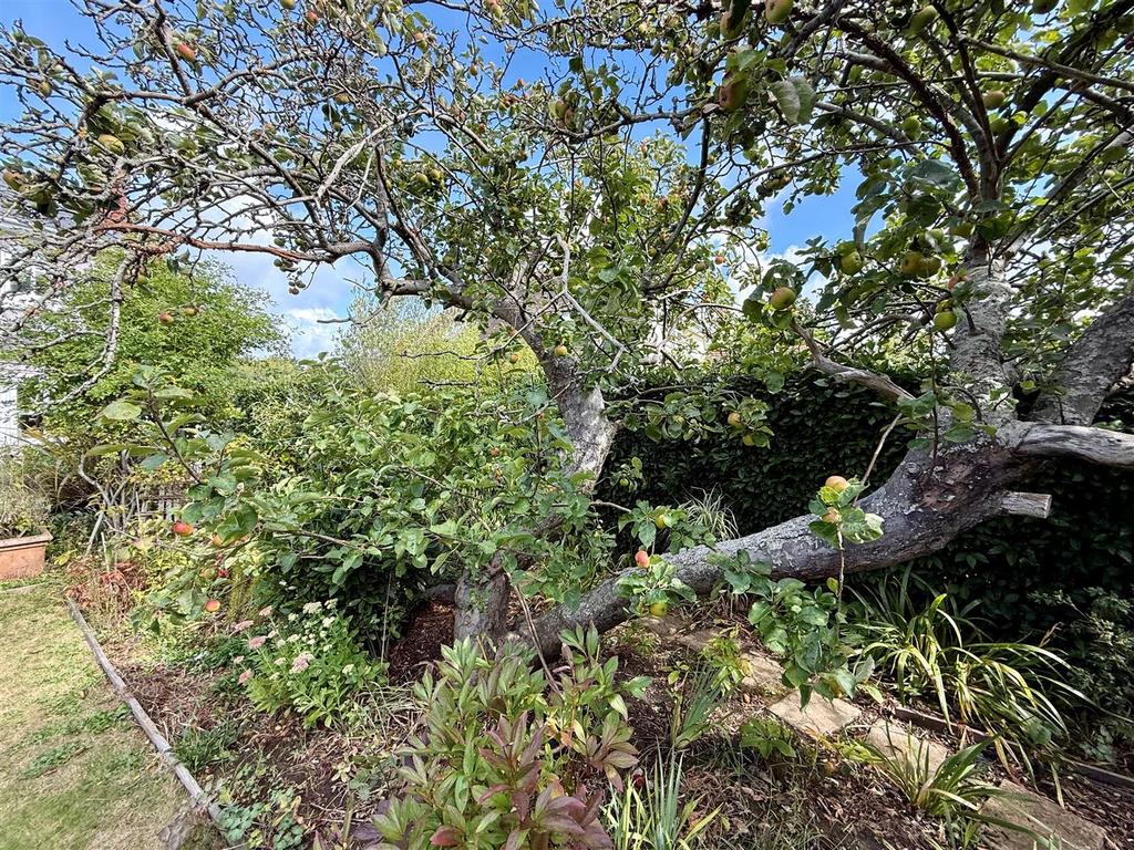 Rear Garden 2.jpg