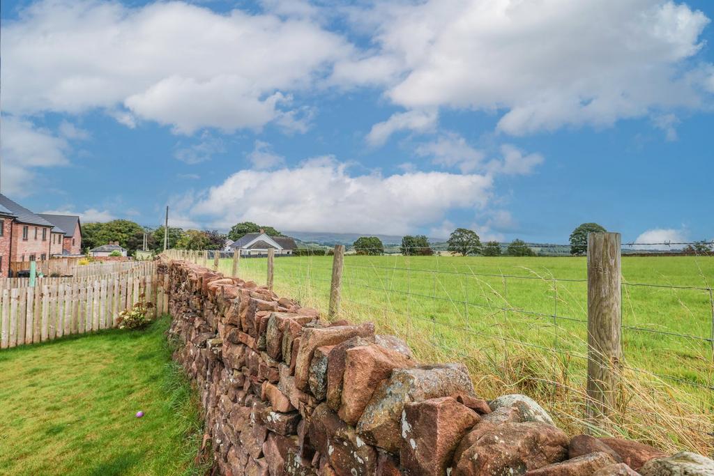Rear Garden Views