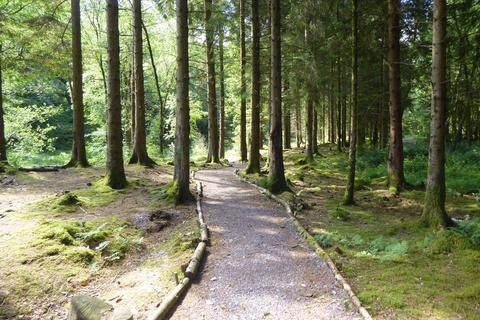undefined, Coed Hen Doeth, Llanberis LL55