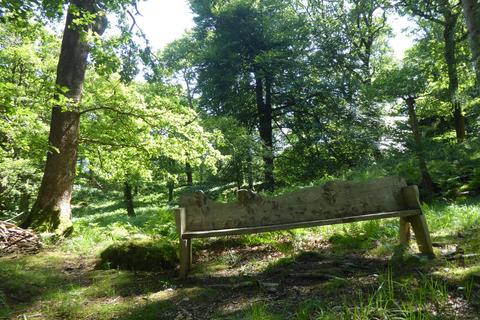 undefined, Coed Hen Doeth, Llanberis LL55