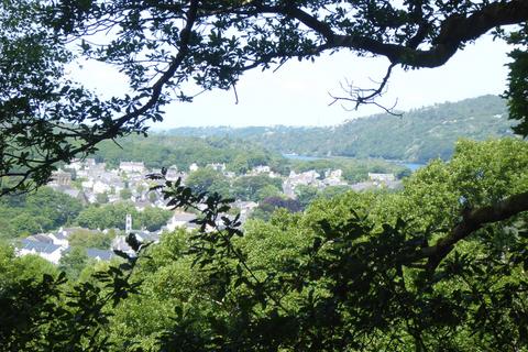 undefined, Coed Hen Doeth, Llanberis LL55