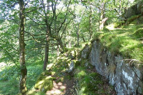 undefined, Coed Hen Doeth, Llanberis LL55