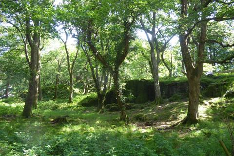 undefined, Coed Hen Doeth, Llanberis LL55