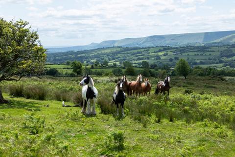 undefined, Vagar Hill, Craswall, Herefordshire