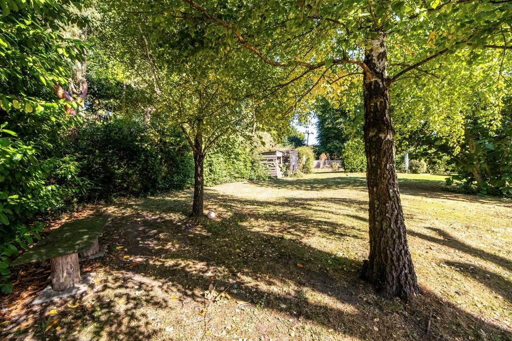 Lime Tree Cottage-25