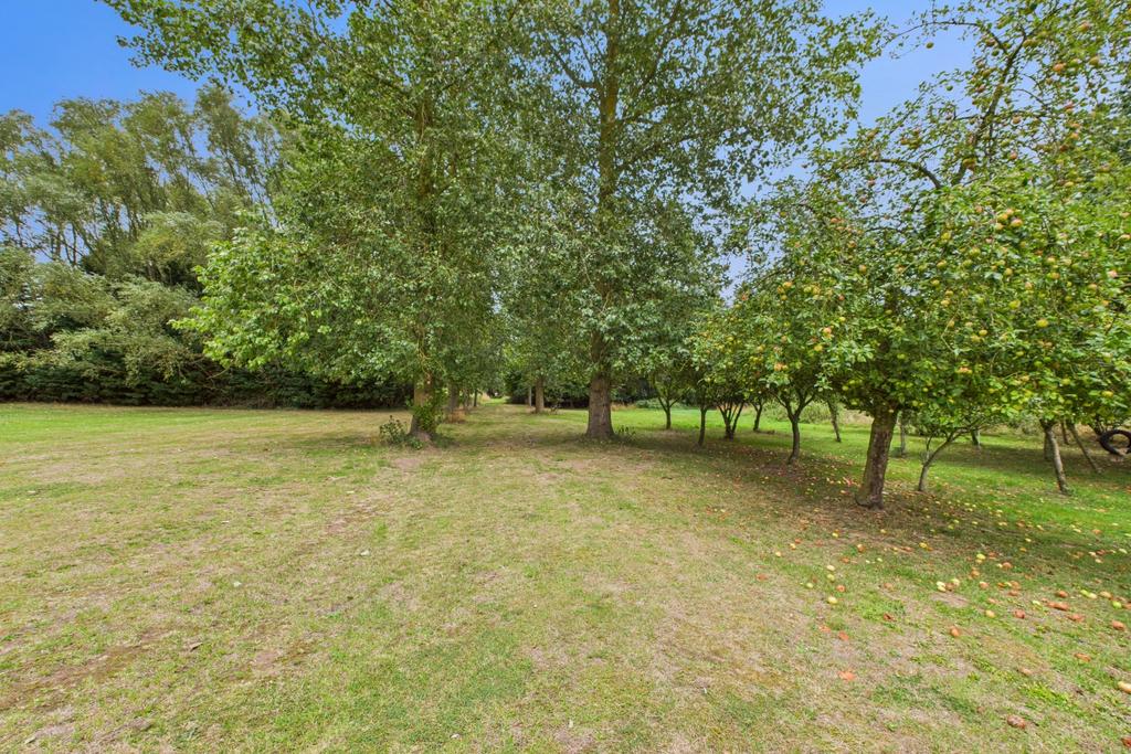Ewe Move - Spalding - Garden