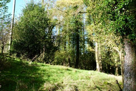 undefined, Coed Mawreddog, Cwmdwr SA19