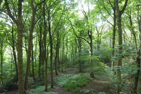 undefined, Elland Park Wood, Elland HX5