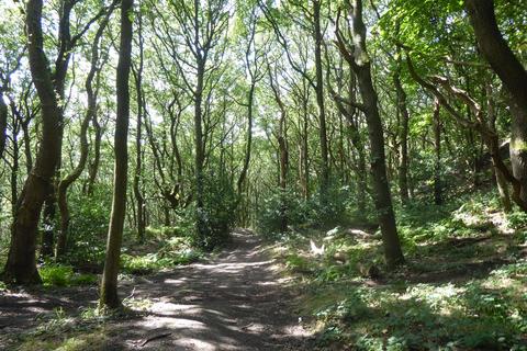undefined, Elland Park Wood, Elland HX5