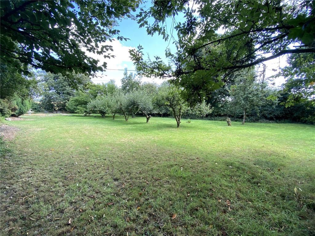 Orchard