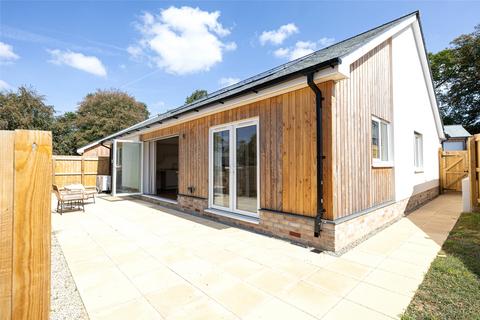 undefined, Dunheved Gardens, Launceston, Cornwall, PL15