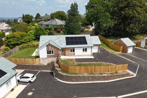 undefined, Dunheved Gardens, Launceston, Cornwall, PL15