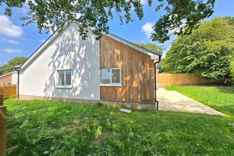 undefined, Dunheved Gardens, Launceston, Cornwall, PL15